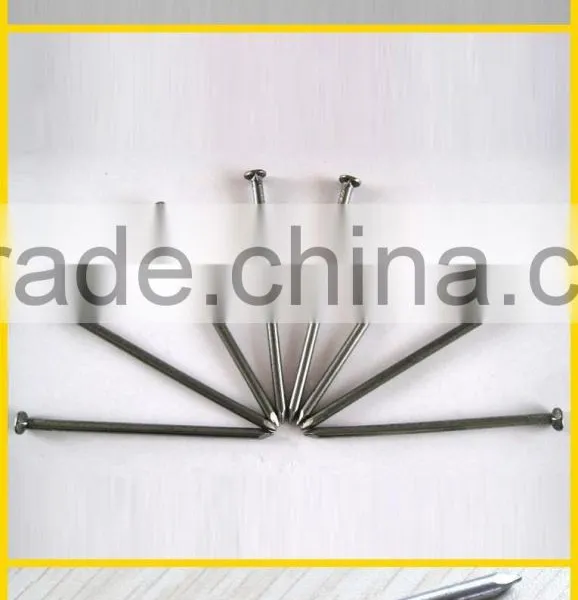 Round Nail/round Wire Nails photo-6