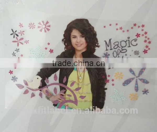 Custom Plastisol Heat Transfer Label for Clothing photo-2