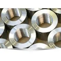 A182 F12 F22 F91 A105 SS304 SS316 Coupolet 3000LB