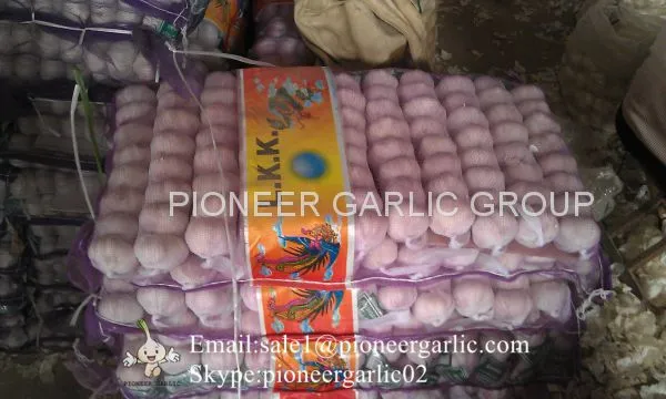 Best Quality 5.5cm Purple Garlic Packed In Mesh Bag photo-5