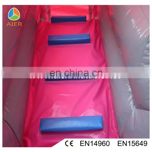 2016 Hot Selling Pink Color Pvc Giant Inflatable Castle Warter Slide photo-4
