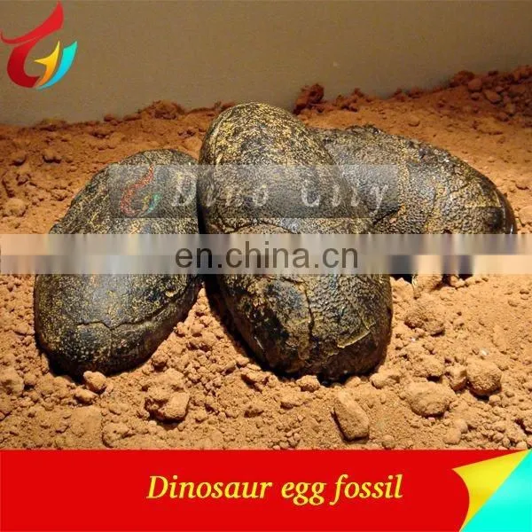 Exhibit Dinosaur Egg Model Dinosaur Egg Fossils photo-5
