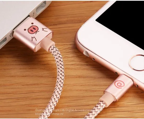 Дата-линия для iPhone 6/6s