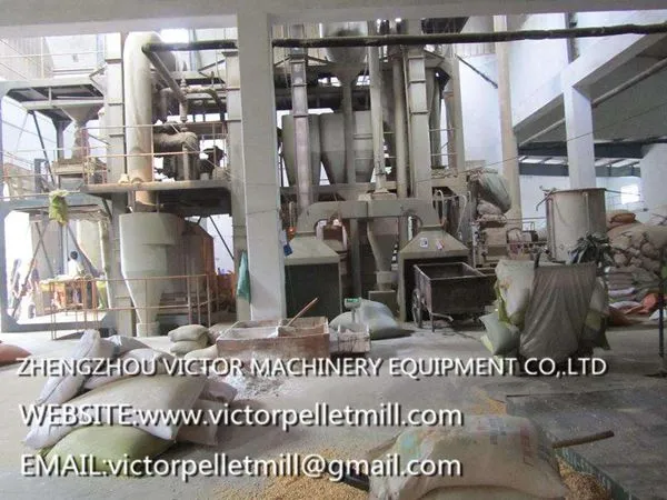 Feed Pellet Production Line for Poultry and Animals photo-3
