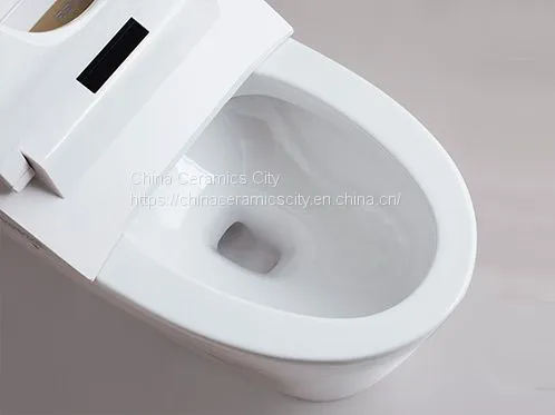 [SSWW] Smart Toilet