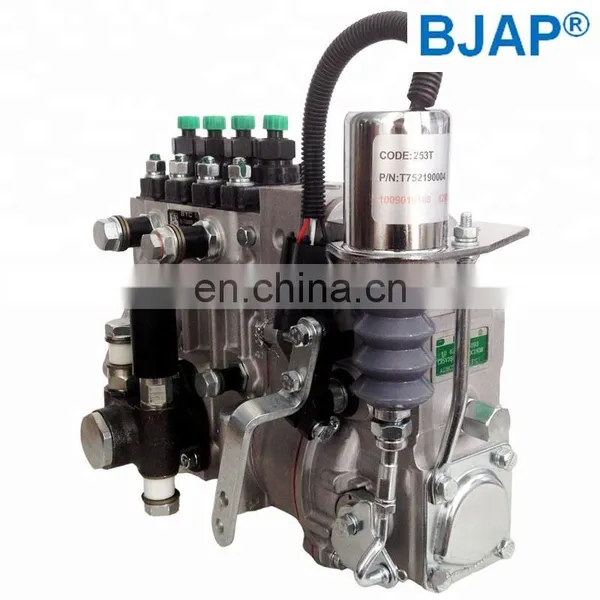 Asimco Tianwei (BYC) Injection Pump 10 403 574 088 10403574088 photo-4