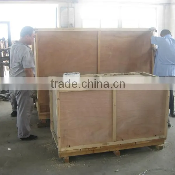 Stainless Steel Chicken Injector Machine/saline Brine Meat Injector photo-6