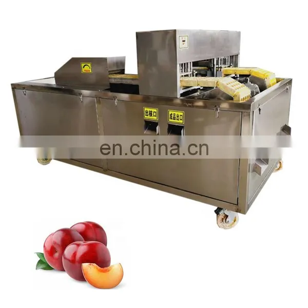 Automatic Fruit Stone Extractor Apricot and Apple Core Removal Machine. photo-4