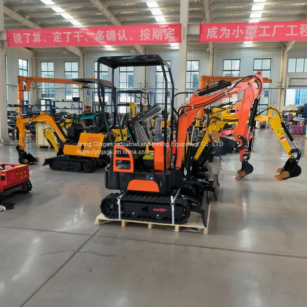 Model 10 Crawler Mini Excavator photo-3