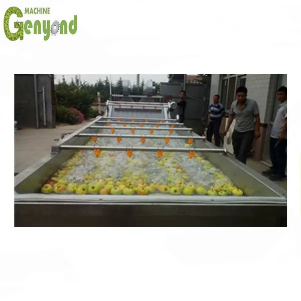 Shanghai Factory Complete Small Capacity Mango Puree Processing Plant photo-2