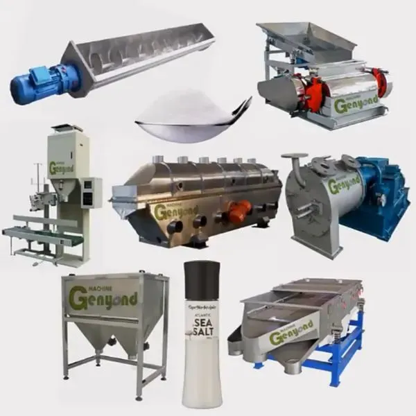 3 Tons Per Hour Crude Salt Crushing Washing Drying Line
