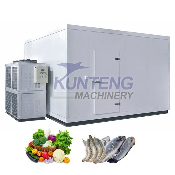 Industrial Automatic Cold Room Storage Modular Cooler Freezer House for Fish Vegetable