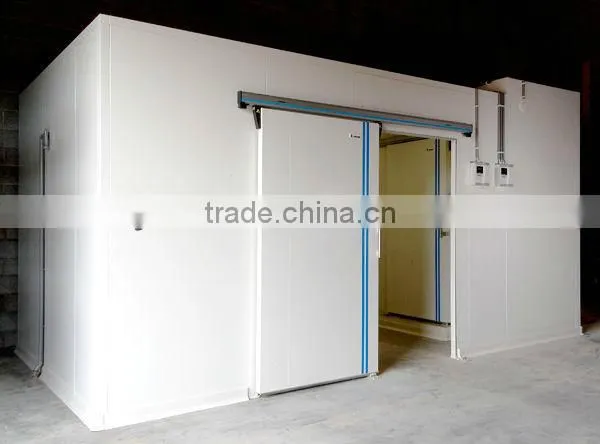 PU Foam Chiller Room for Dates With Bizter Multiple Compressor photo-3