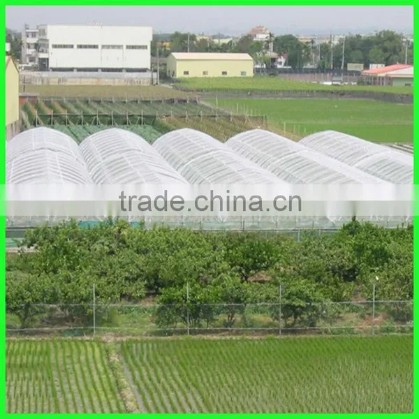 Suntex Virgin HDPE Anti-insect Nets/fruit Vegetable Netting photo-3