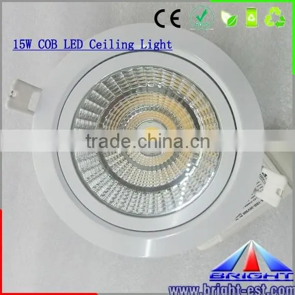 Top Quality Good Price CE RoHs Approval 15W COB LED Downlight photo-3