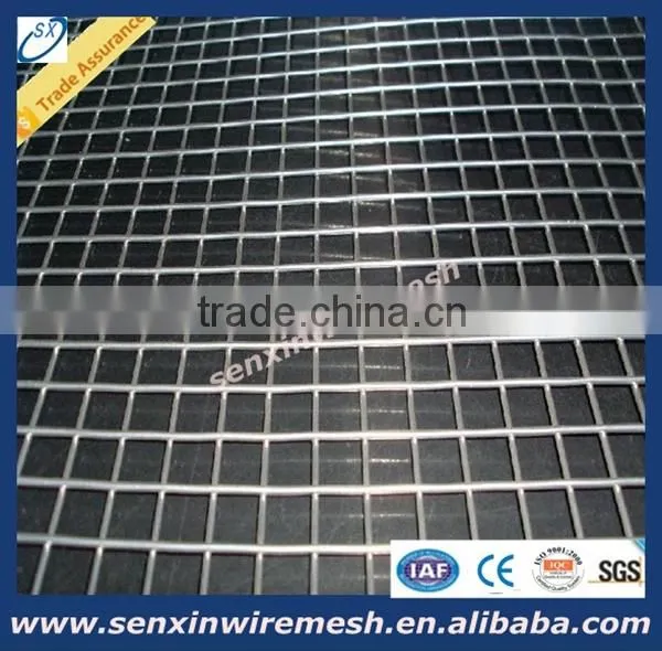 China Manufacturer Galvanized Welded Wire Mesh Panel or Roll , Pvc Coated Welded Wire Mesh photo-5