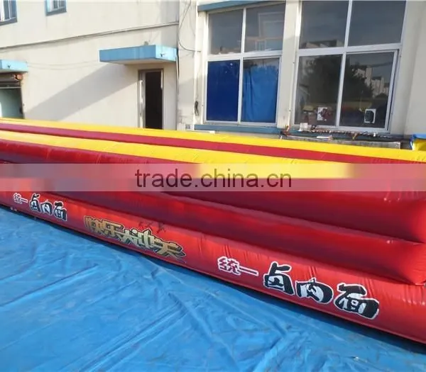 Double Line Inflatable Bungee Run for Sale photo-5