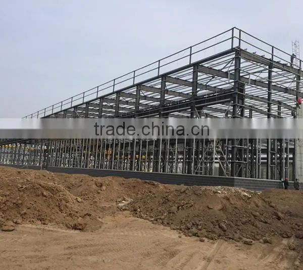 Professional Design Network Frame Steel Structure Factory Building Engineering of Large Steel Structure Installation