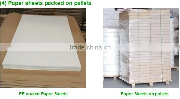 190~200 One Side Virgin Pulp pe Coated Paper Bleach Board/paper Sheet photo-3