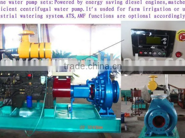 Diesel Engine Pump Set