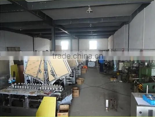 Hot Sale Automatic Bottles Carton Machine High Speed Cartoning Machine photo-6