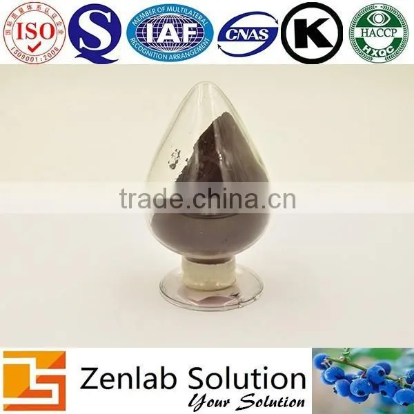 Blackcurrant Ribes Nigrum Extract for Antioxidant photo-3
