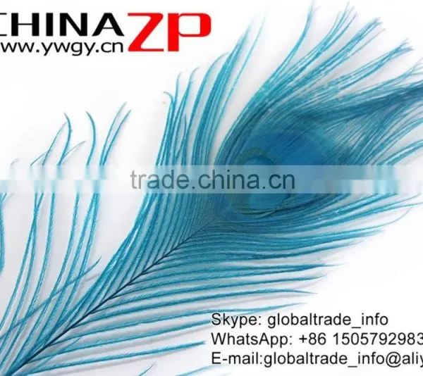 CHINAZP Leading Supplier Wholesale Cheap Full Eye Dyed Turquoise Blue Peacock Tail Feathers for Sale photo-6