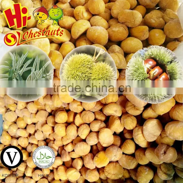 IQF Chestnuts Frozen Chestnut Kernel for Sale photo-3