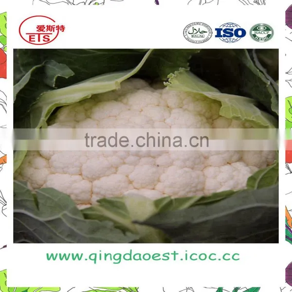 Hot Sale Fresh Cauliflower With High Quality Floret Dia:40-60mm photo-2