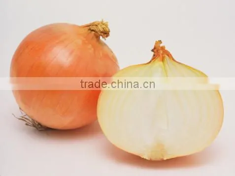 Fresh Onion photo-2