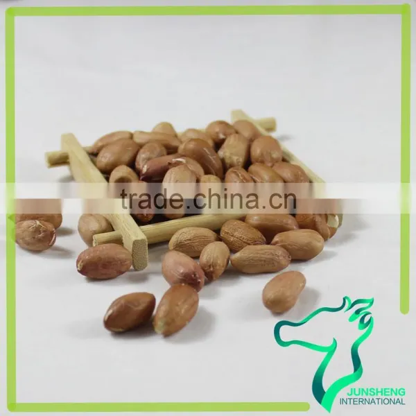 Red Skin Peanut Seeds For Sale photo-4