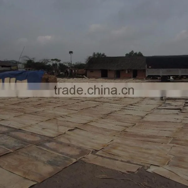 1.8mm Veneer Making Plywood photo-2