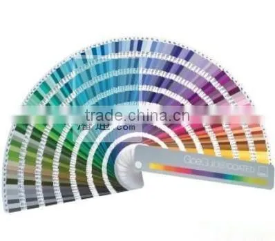 Pantone GoeGuide RGB Value GSGS001 photo-2