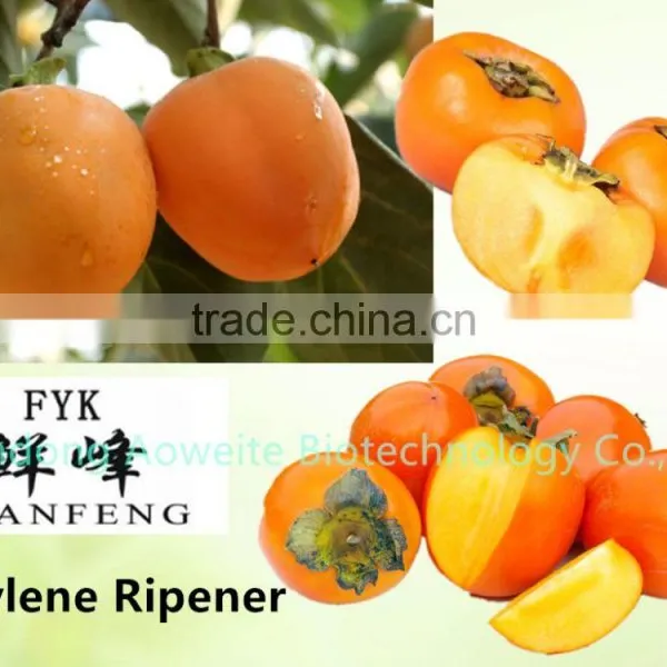 Persimmon Deastrigency