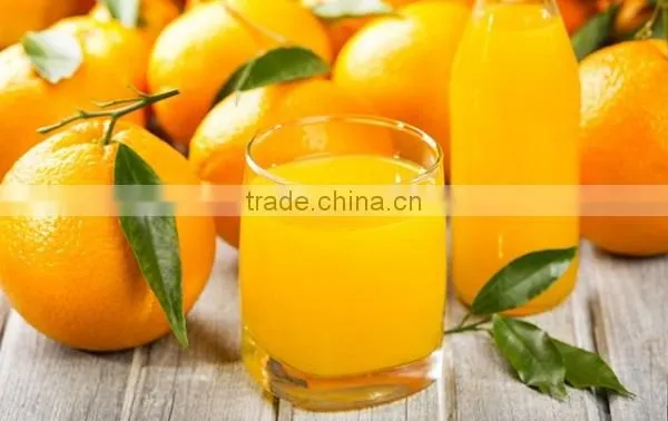 New Generation Heavy Duty Commercial and Household Manual Juicer,juicer Press ,more Higher Juice Yield photo-6