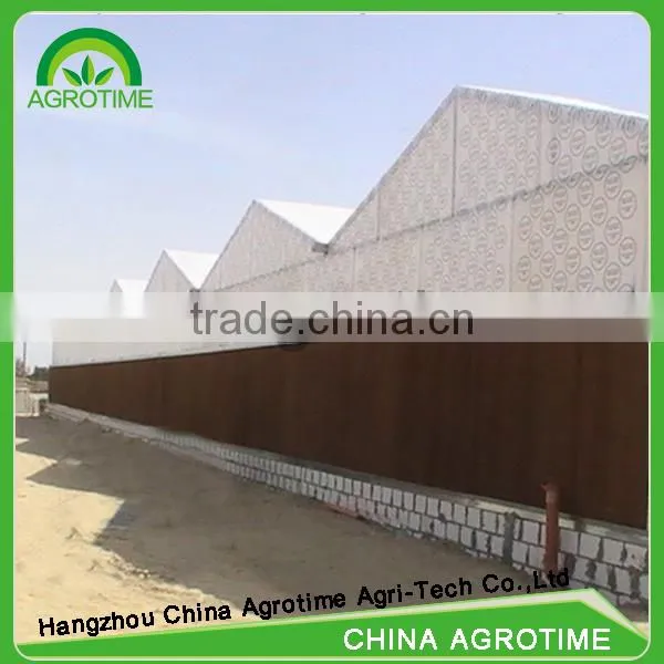 Multi-span Polycarbonate Plastic Sheet Greenhouse for Agriculture photo-2
