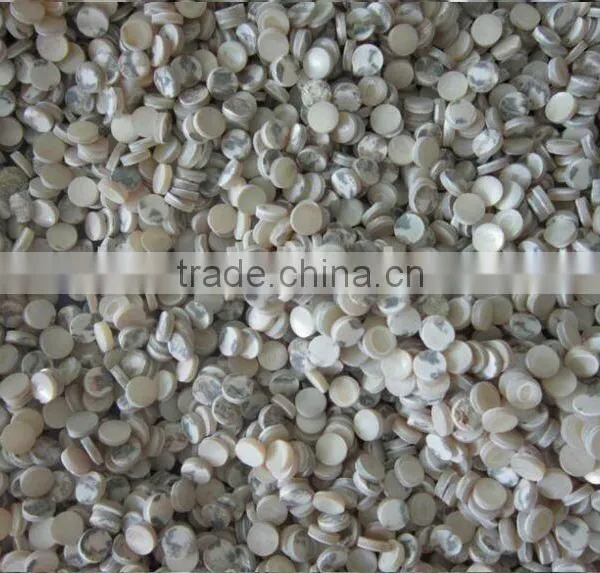 Natural Trocas/trochus Shell Button Blank for Shirt Button Making photo-2