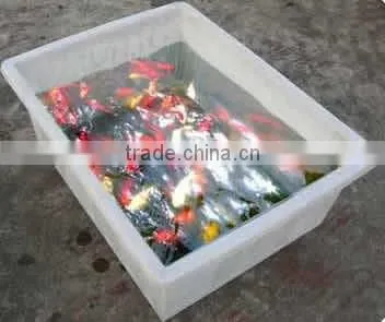 Indoor Aquoponics Hydroponics Fishing Tank With Vegetable Planter photo-4