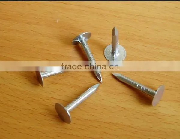 Galvanized Clout Nails /roofing Nails Flat Head photo-4