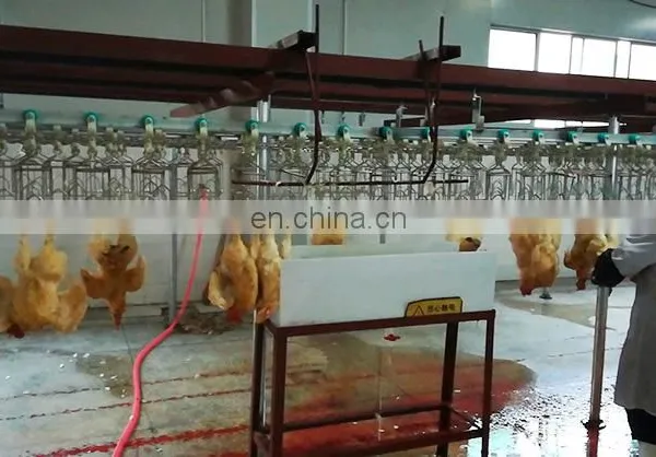 Mini Poultry Slaughter Equipment/duck Slaughter Machine Halal Chicken Slaughter Machine for Sale photo-6
