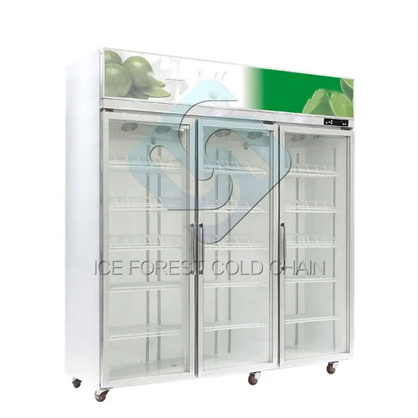 2021 Commercial Fridge Freezer Display Cooler Refrigerator Sold in India