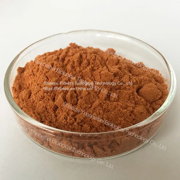 Green Tea Polyphenols Powder Bulk Natural Organic Green Tea Extract Powder Tea Polyphenol photo-2