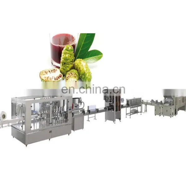 Industrial Fresh Noni Juice Making Machine photo-4