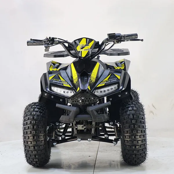 KXD Moto Electric Atv Quad Bikes ATV-003E 48V 1000W off Load Vehicle photo-3