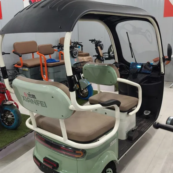 New Electric Tricycle Adults e Trike 3 Wheel Cargo Bike Passenger Motorcycle Adult Electric Tricycles With Roof photo-2