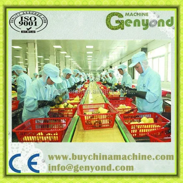 Complete Sliced Pineapple in Syrup Processing Plant /Sliced Pineapple Canning Machine photo-6