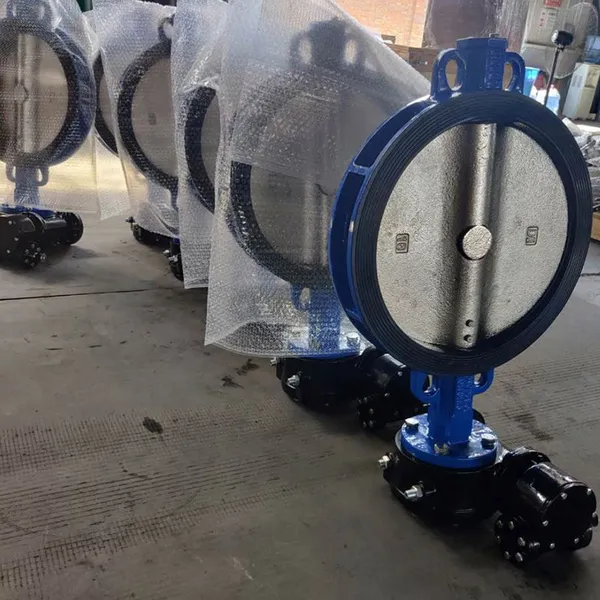 Resilient Seat Ductile Cast Iron Stainless Steel Aluminium Alloy Bronze Wafer Butterfly Valve Lug Double Flange Butterfly photo-5