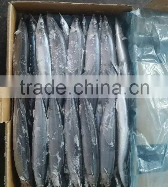 2015 Seafrozen Pacific Saury Whole Round 0#:140g+ photo-6