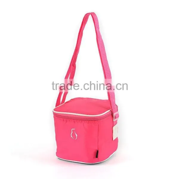 Thermoelectric Cooler Bag,solar Powered Cooler Bags,refrigerated Cooler Bags