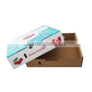 Corrugated Carton Box Packaging Fresh Fruit and Vegetable photo-5